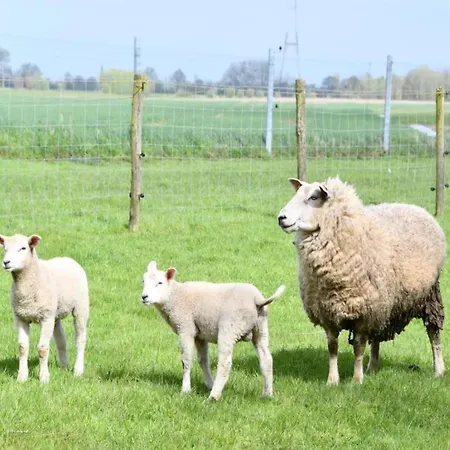 아파트 With Stunning Sea Views 니우포르트