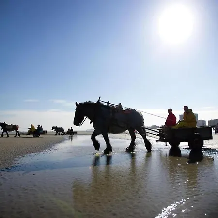 With Stunning Sea Views 아파트